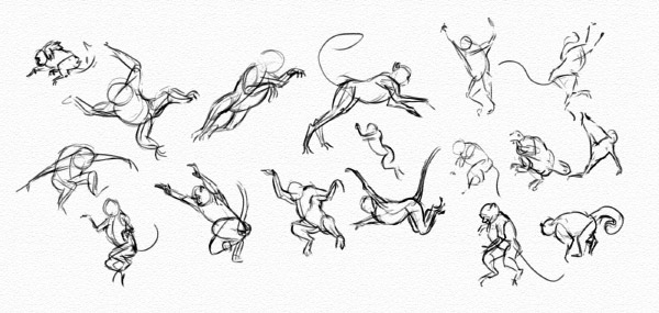 600x285 monkey drawing photos drawing skill - Monkey Drawing Images