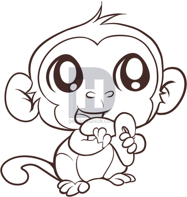 614x648 How To Draw An Easy Monkey, Step - Monkey Drawing Step By Step