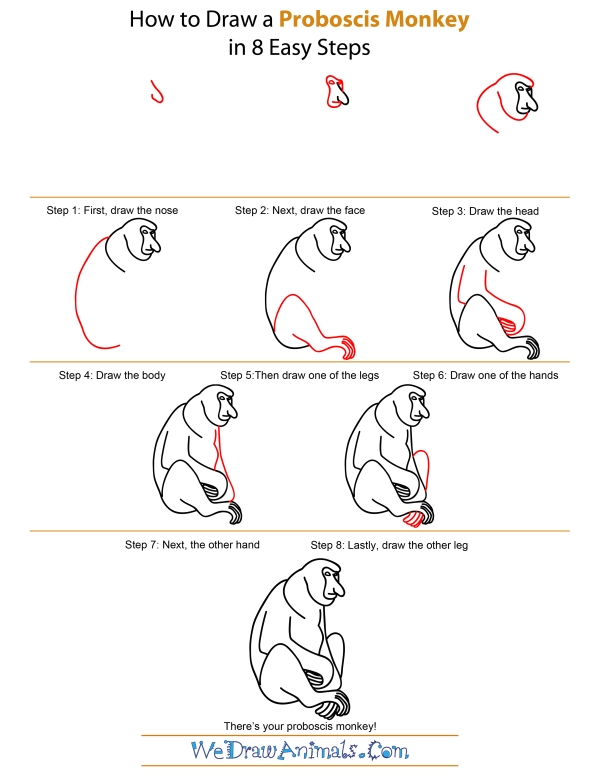 600x776 How To Draw A Proboscis Monkey - Monkey Drawing Step By Step
