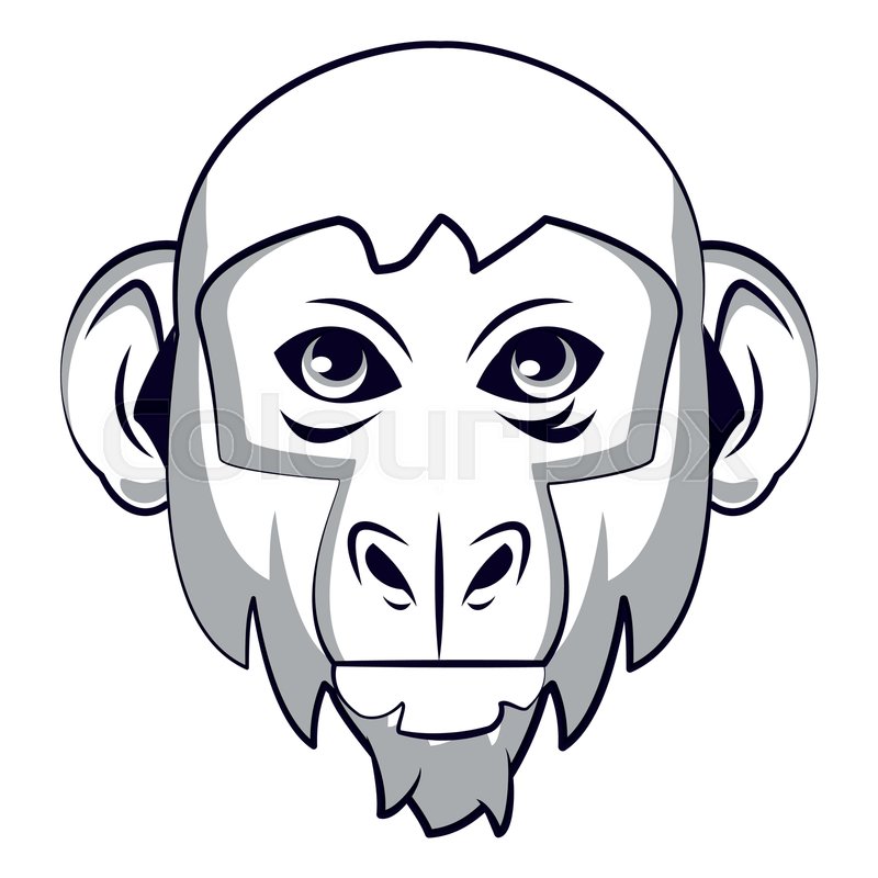 800x800 monkey face cool sketch in black and stock vector colourbox - Monkey Face Drawing