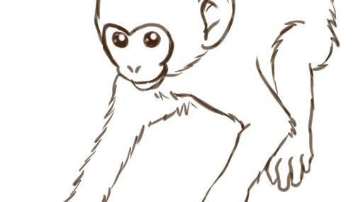 512x285 Draw A Monkey Easy - Monkey Face Drawing