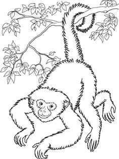 236x317 How To Draw A Monkey Hanging From A Tree Pictures Vbs Ideas - Monkey Hanging From Tree Drawing