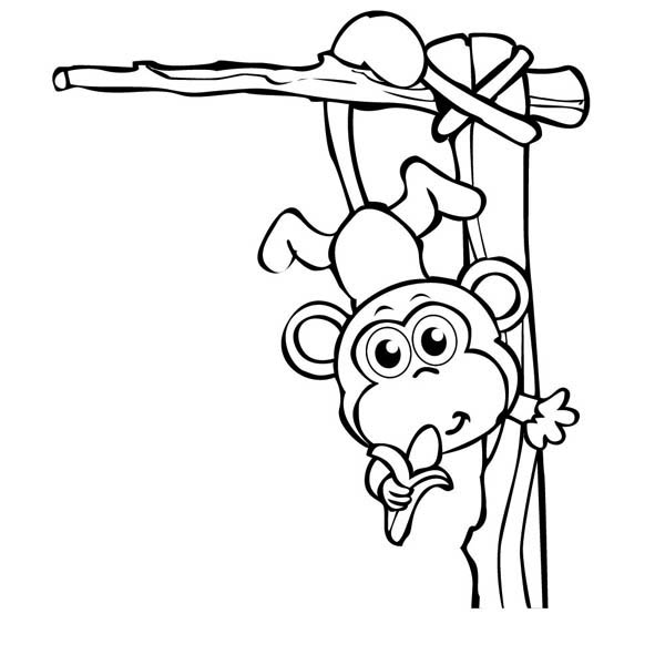 600x600 Monkey Hanging From Tree Drawing - Monkey Hanging From Tree Drawing