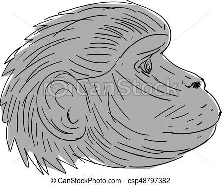 450x374 Gelada Monkey Head Side Drawing Illustration Of A Gelada Monkey - Monkey Head Drawing