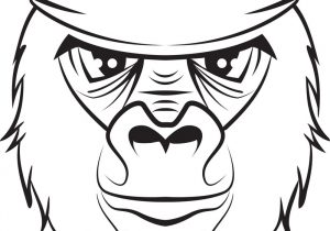 300x210 gorilla head drawing the graphic image of the monkey, monkey head - Monkey Head Drawing