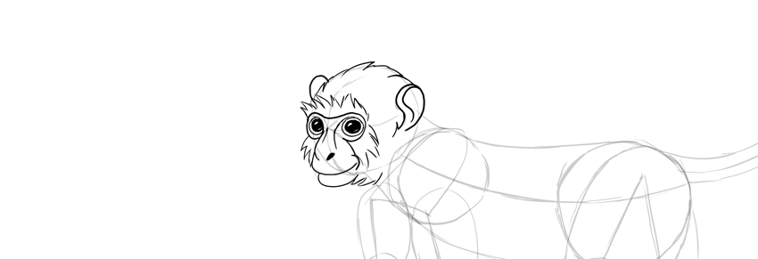 850x291 How To Draw A Monkey Step - Monkey Head Drawing