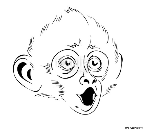 500x452 Monkey Head, Vector Illustration Stock Image And Royalty Free - Monkey Head Drawing