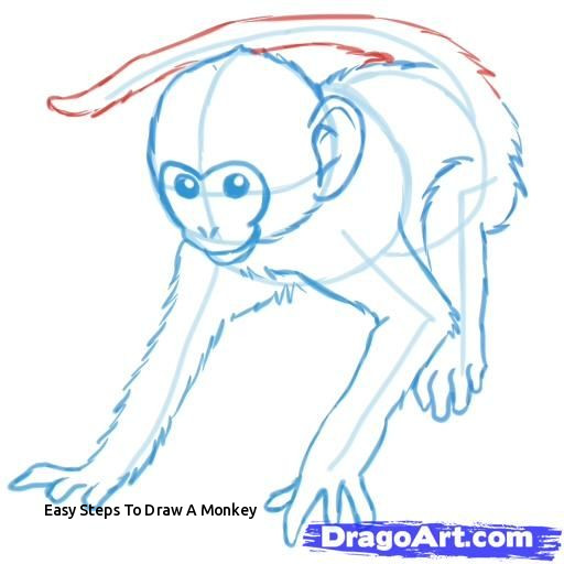 512x512 Easy Steps To Draw A Monkey Best Monkeys Images - Monkey Line Drawing