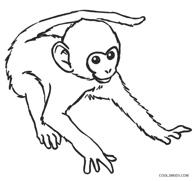 Monkey Coloring Pages Surprising Monkey Coloring Pages For Line - Monkey Li...