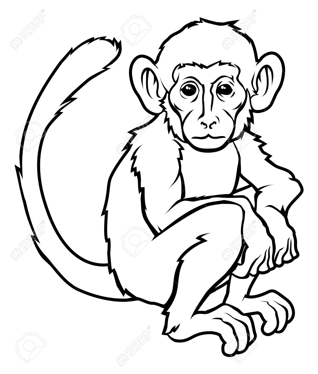 Monkey Line Drawing at Explore collection of