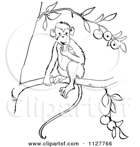 450x470 Cartoon Of A Retro Vintage Black And White Monkey Eating Fruit - Monkey Line Drawing