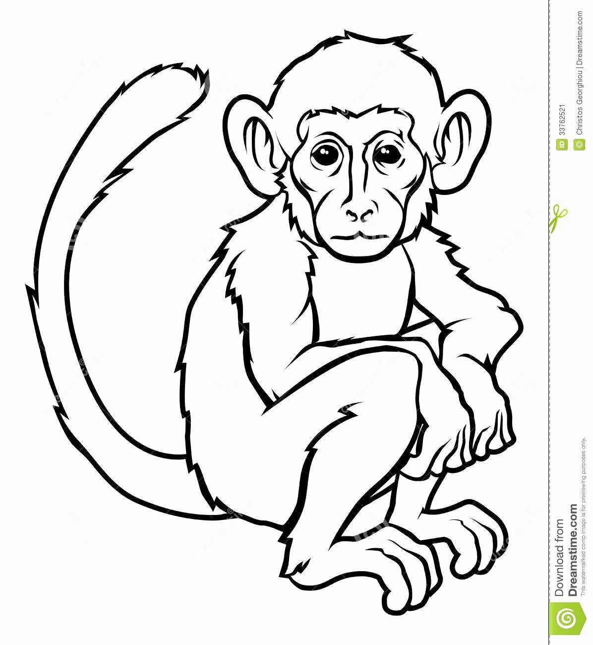 1196x1300 Outline Of A Monkey Best Of How To Draw A Monkey Vripmaster - Monkey Outline Drawing