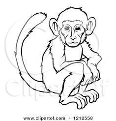 236x246 Best Monkey Outline Cartoon With Tattoos Images Free Monkey - Monkey Outline Drawing