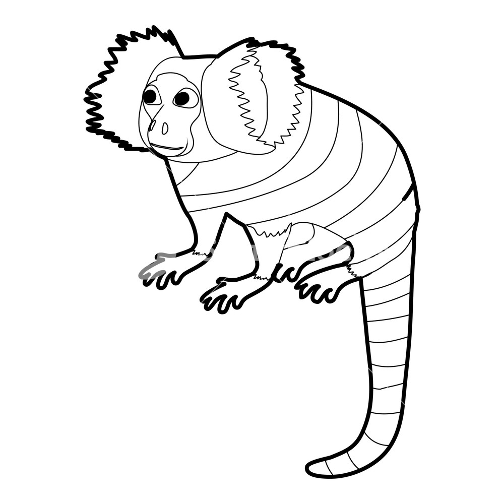 1000x1000 Small Monkey Icon In Outline Style Isolated On White Vector - Monkey Outline Drawing