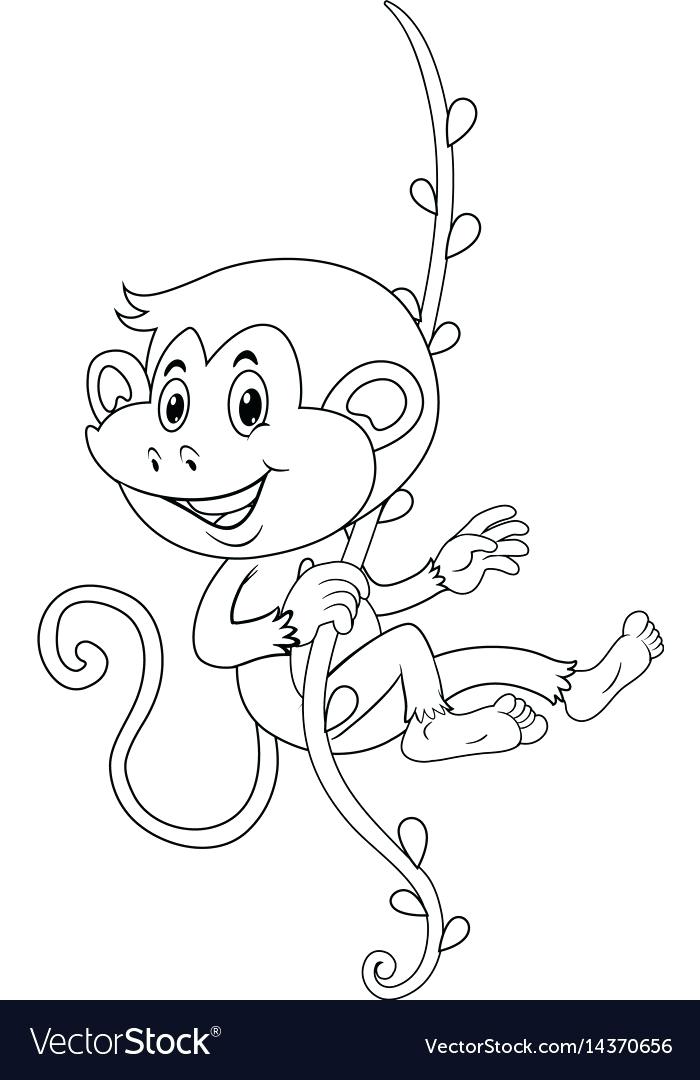 700x1080 Monkey Outline - Monkey Outline Drawing