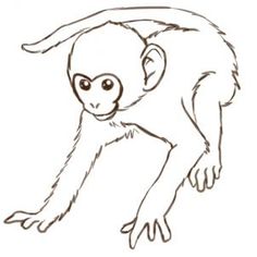 236x236 Drawing Of Monkey - Monkey Outline Drawing