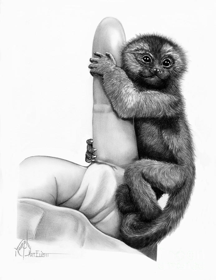 693x900 Finger Monkey Drawing - Monkey Pencil Drawing