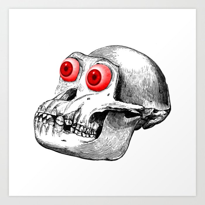 700x700 Monkey Skull Art Print - Monkey Skull Drawing