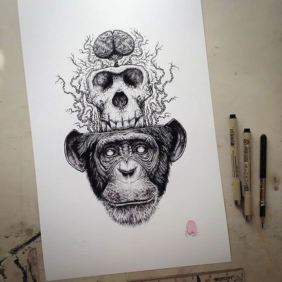 564x564 Monkey Skull Brain Tattoo Design Ape Dark Drawings, Animal - Monkey Skull Drawing