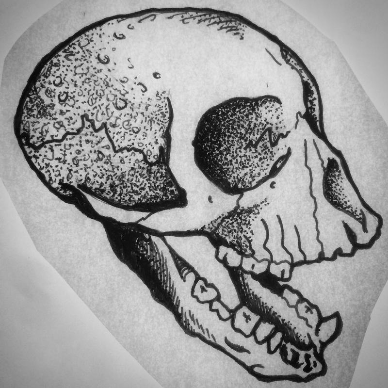 800x800 Monkey Skull And Wrenches Drawings Pictures And Ideas On Meta - Monkey Skull Drawing
