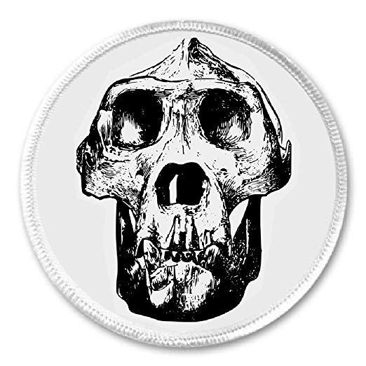 522x522 Gorilla Ape Monkey Skull Sew On Patch Primatology - Monkey Skull Drawing