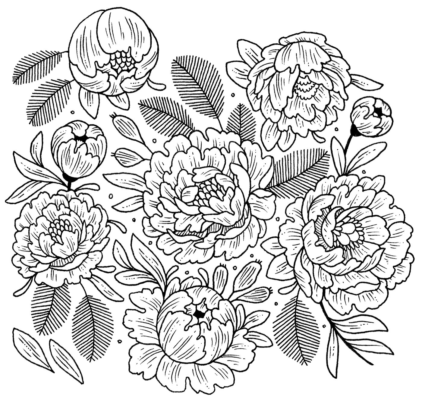 1400x1328 introducing tombow's new mono drawing pens doodles - Mono Drawing