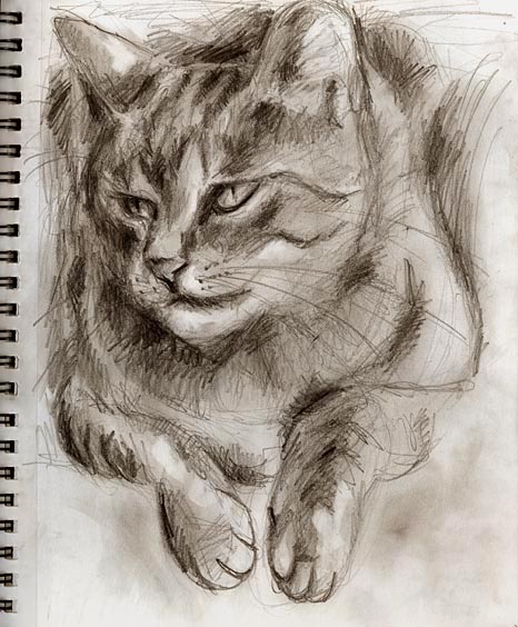 466x564 original drawings - Mono Drawing