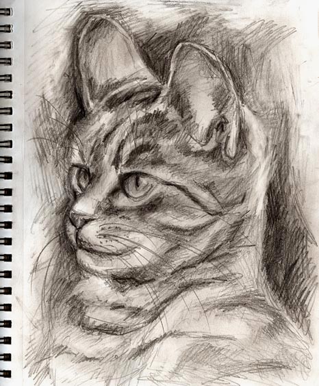 466x564 original drawings - Mono Drawing