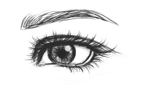 500x327 image about black in art reference - Monochrome Drawing