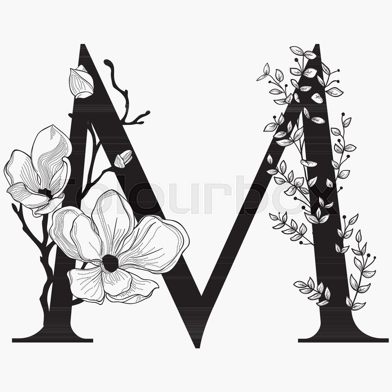 800x800 vector hand drawn floral m monogram or stock vector colourbox - Monogram Drawing