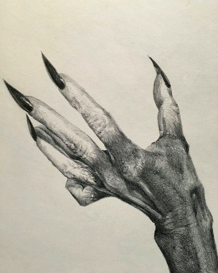 736x920 monkey paw concept art witch drawing, horror drawing, monster - Monster Hand Drawing