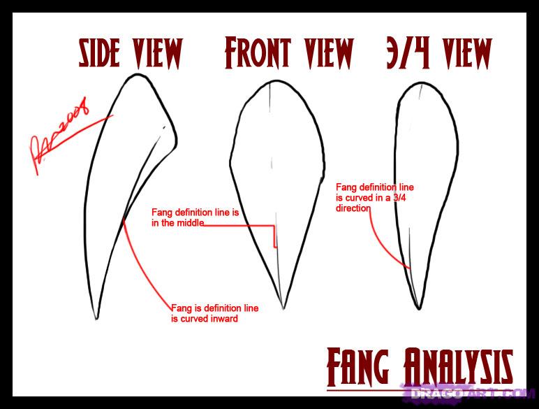 772x585 how to draw vampire fangs and teeth, step - Monster Teeth Drawing