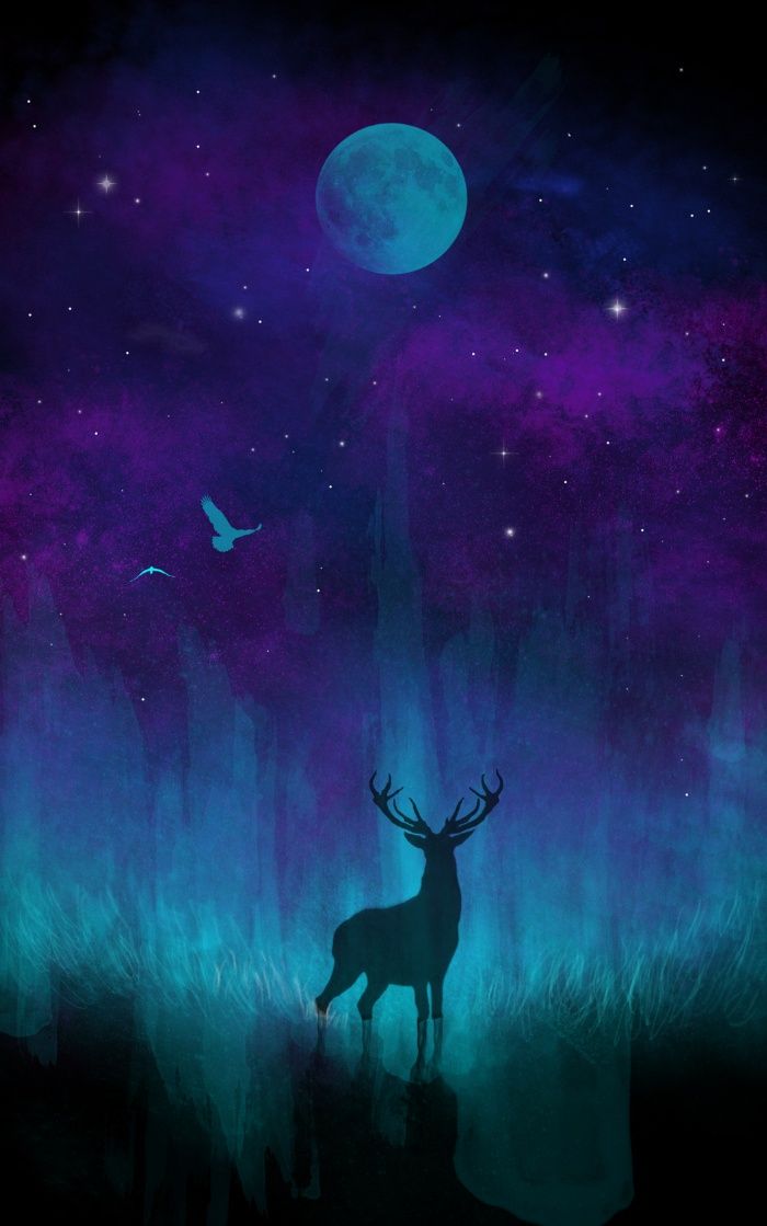 700x1119 art drawing boho awesome art! deer, stag, moon, stars - Moon And Stars Drawing