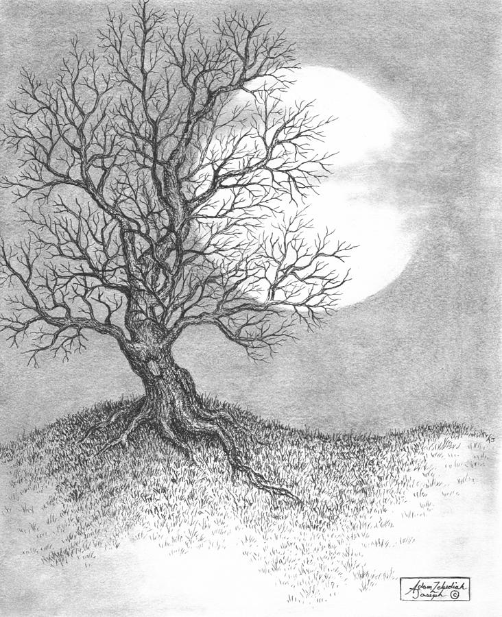 732x900 harvest moon drawings fine art america - Moon Art Drawing