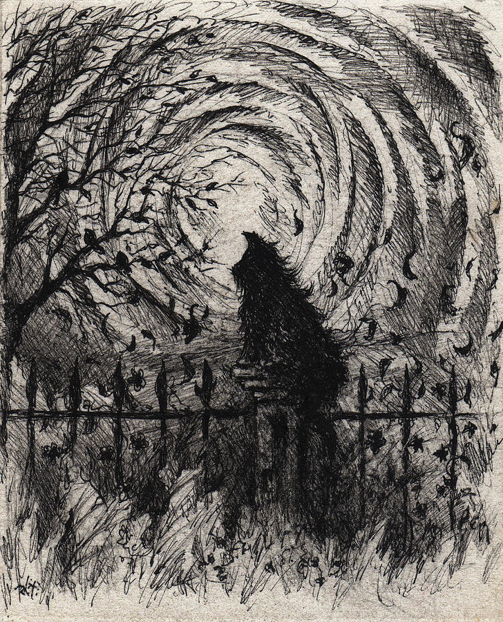 728x900 Black Cat Moon Drawing - Moon Drawing Images