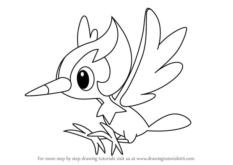 800x567 Learn How To Draw Pikipek From Pokemon Sun And Moon Sun - Moon Drawing Pictures
