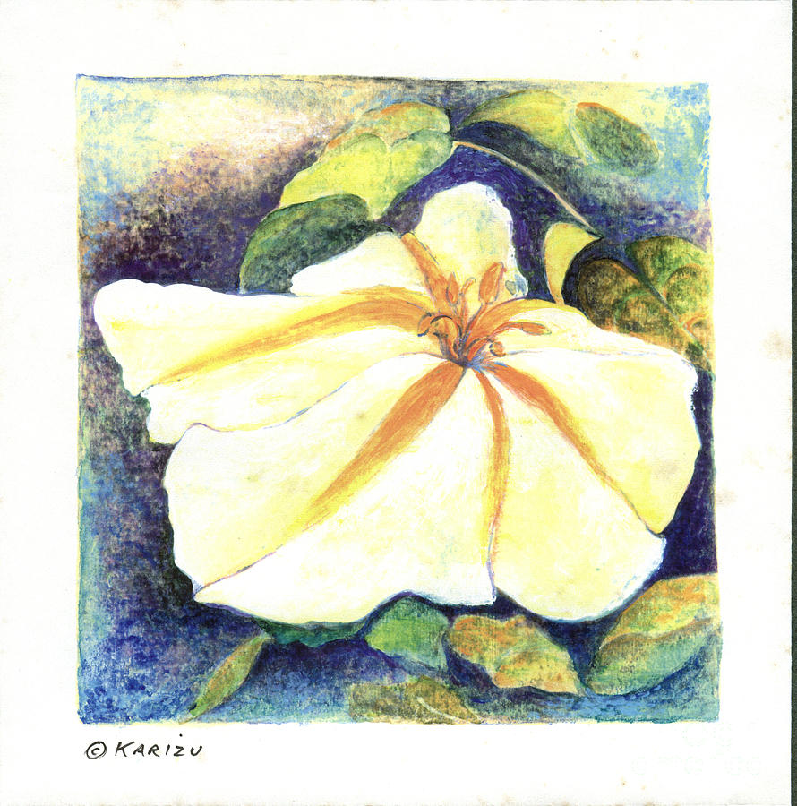 890x900 Moon Flower Drawing - Moon Flower Drawing