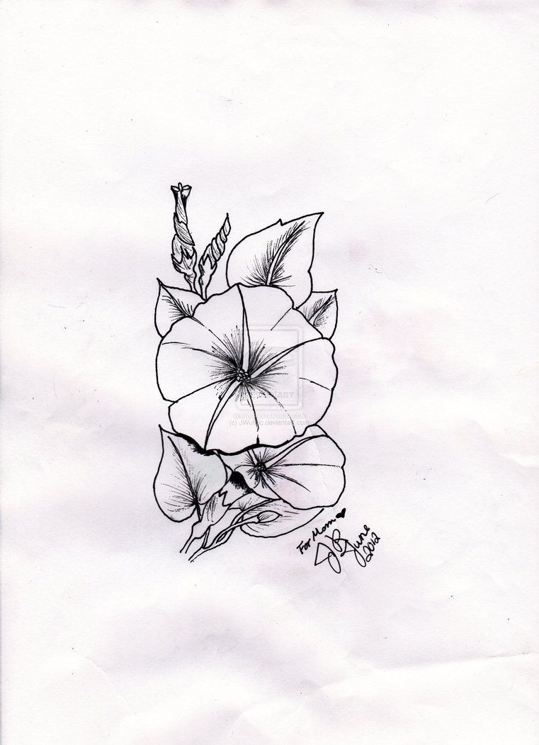 761x1051 Moonflower Tattoo - Moon Flower Drawing