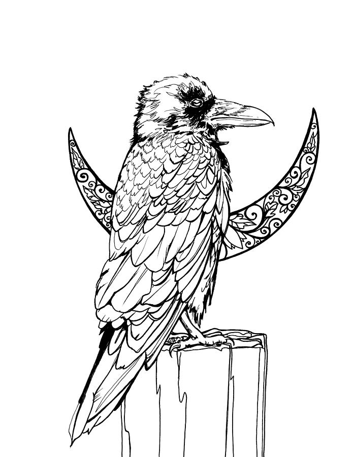 695x900 Raven Crescent Moon Line Art Drawing - Moon Line Drawing