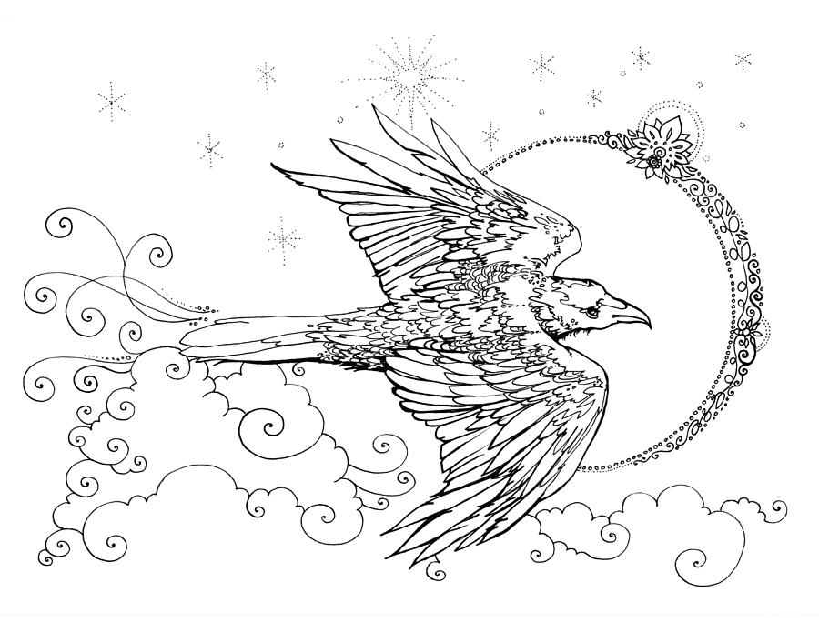 900x695 Raven New Moon Line Drawing Drawing - Moon Line Drawing