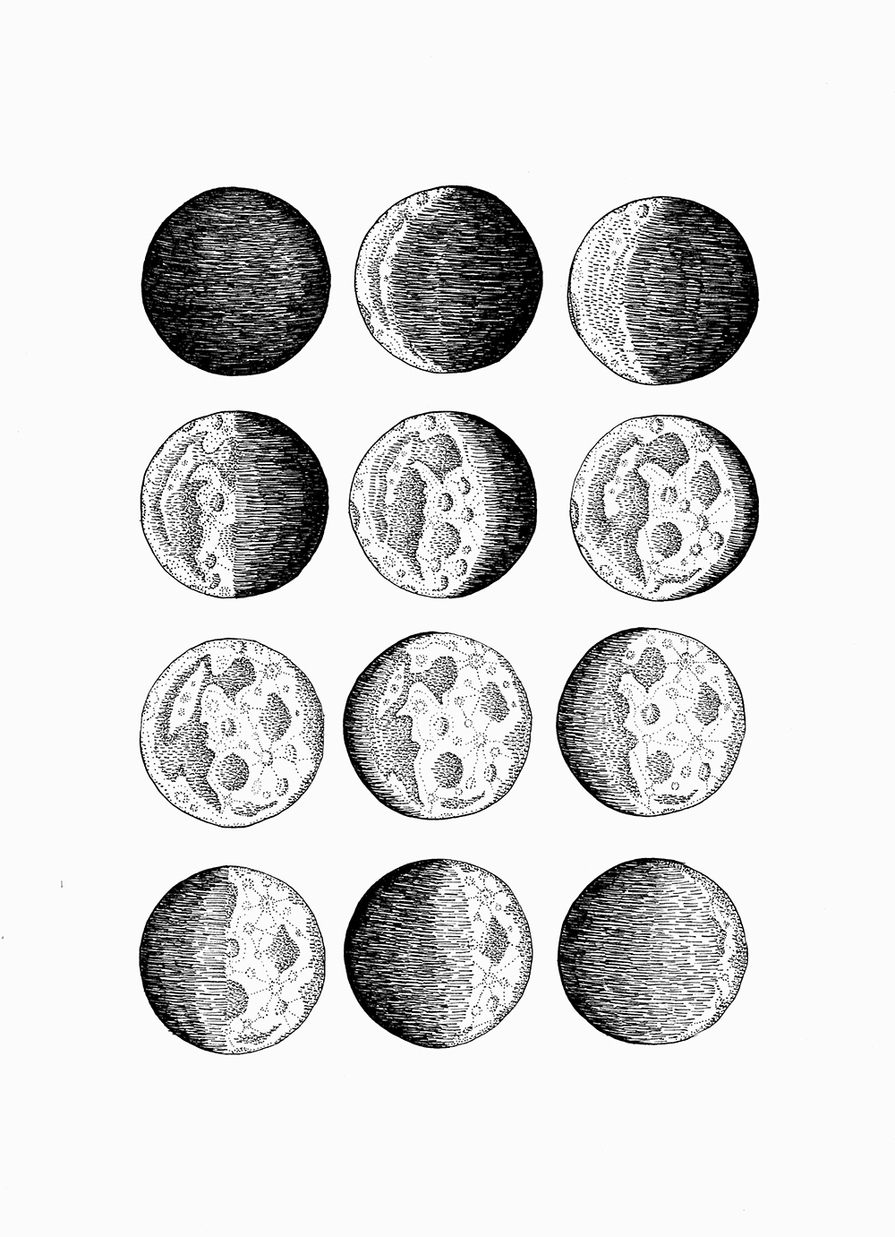 1000x1381 Moon Phases Rose + Wolf - Moon Pen Drawing