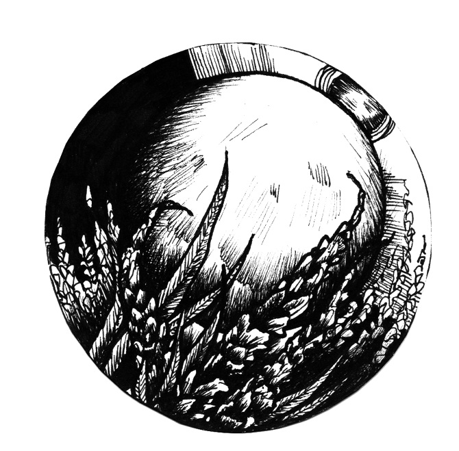 670x659 moon spells - Moon Pen Drawing