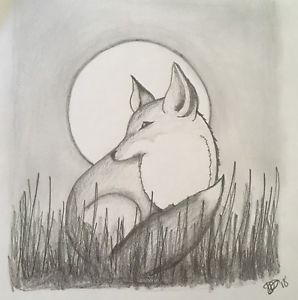 298x300 wildlife pencil drawing fox and moon ebay - Moon Pencil Drawing