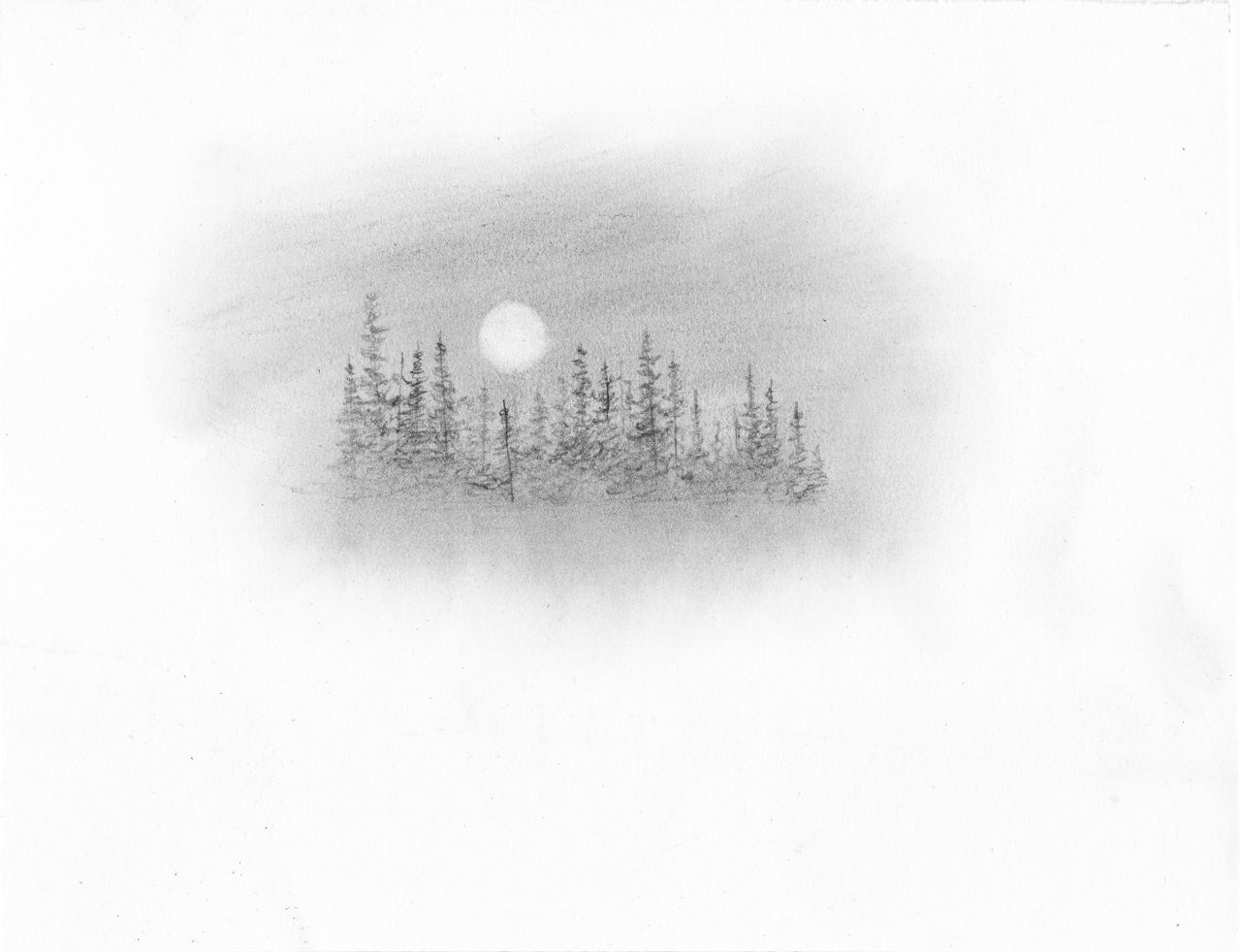 1279x982 Dense Forest Moon Original Drawing David Hayward - Moon Pencil Drawing