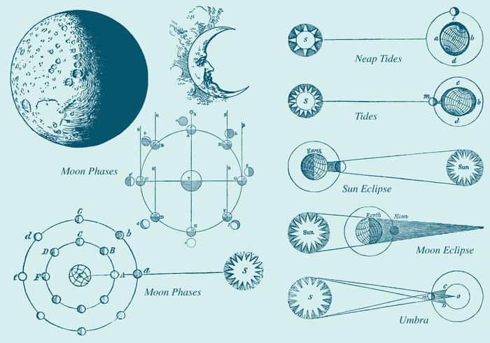 700x490 Old Style Drawing Moon Phase Vectors - Moon Phases Drawing