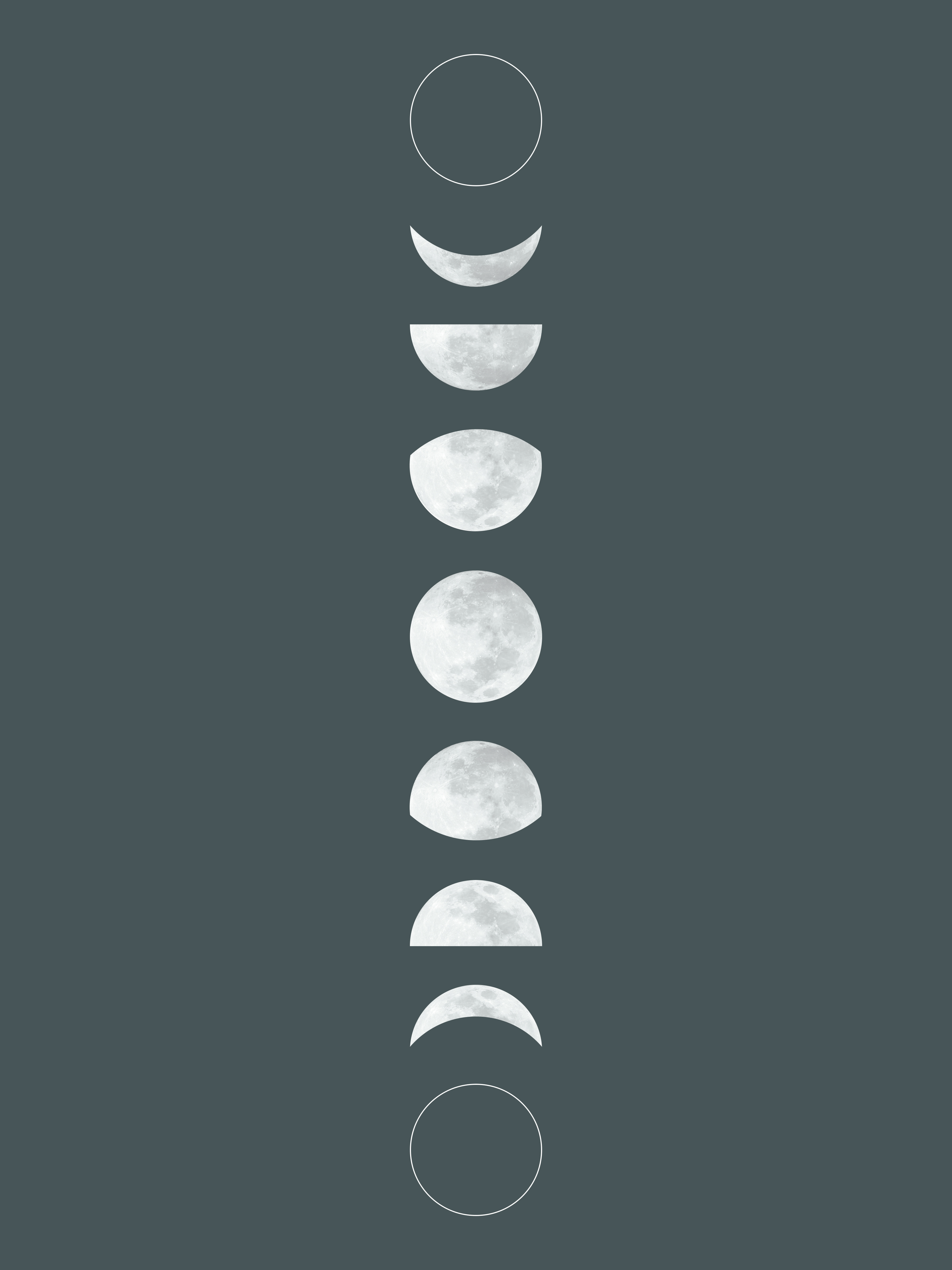 3600x4800 The Nest Free Printable Moon Phase Art And Pattern Downloads - Moon Phases Drawing