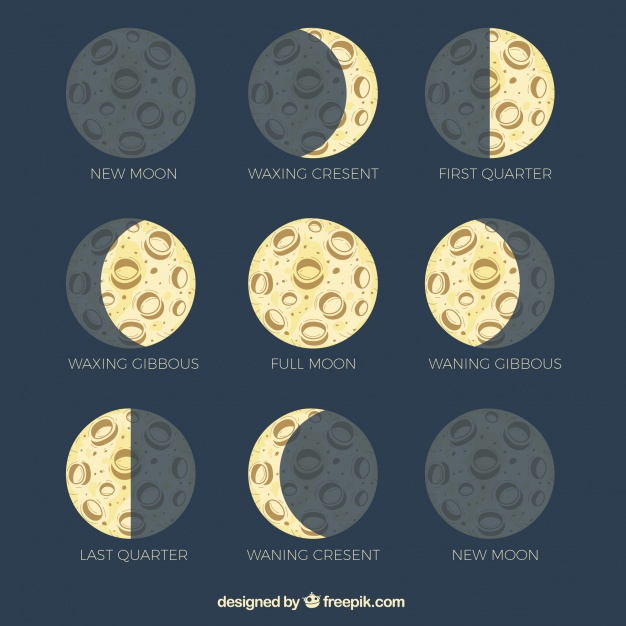 Moon Phases Drawing at PaintingValley.com | Explore collection of Moon ...