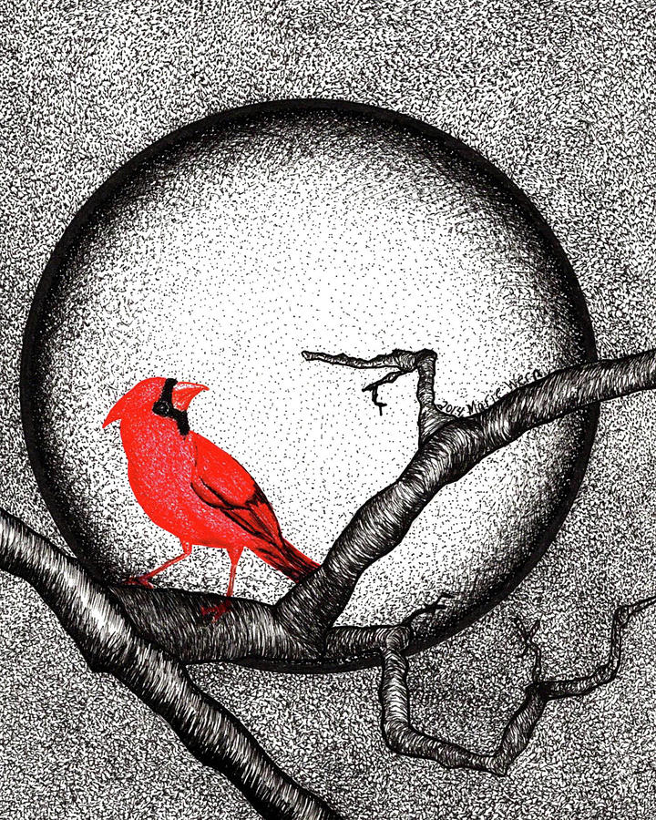 720x900 Winter's Moonlight Drawing - Moonlight Drawing