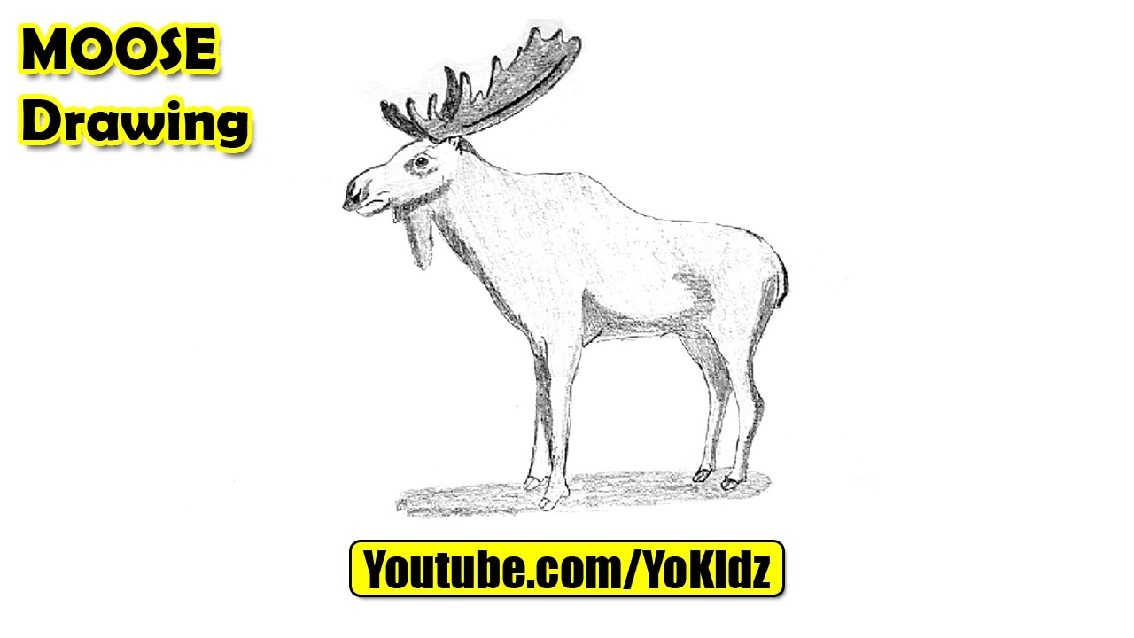 1280x720 how to draw a moose easy - Moose Antlers Drawing