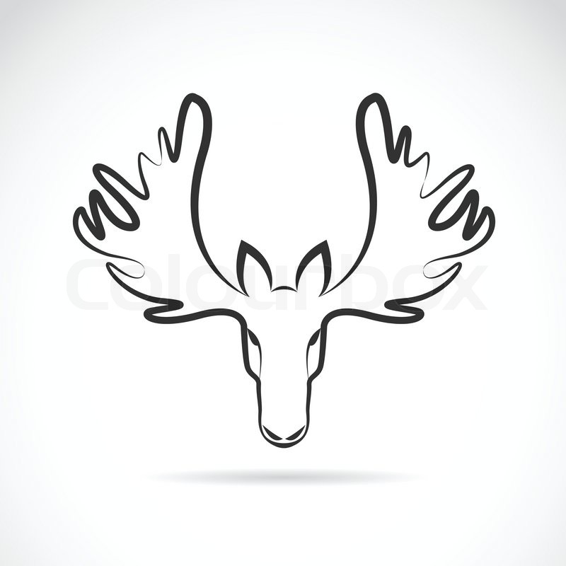 800x800 vector images of moose deer head on a stock vector colourbox - Moose Antlers Drawing